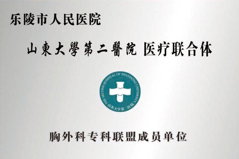 山东大学第二医院医疗联合体.jpg