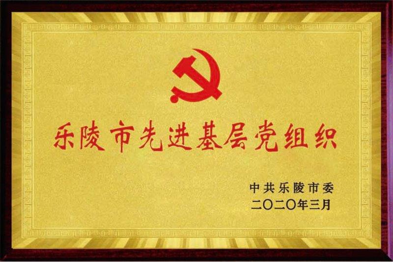 乐陵市先进基层党组织.jpg