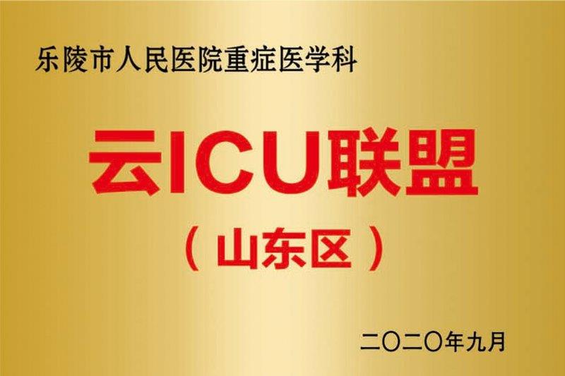 重症医学科云ICU联盟.jpg