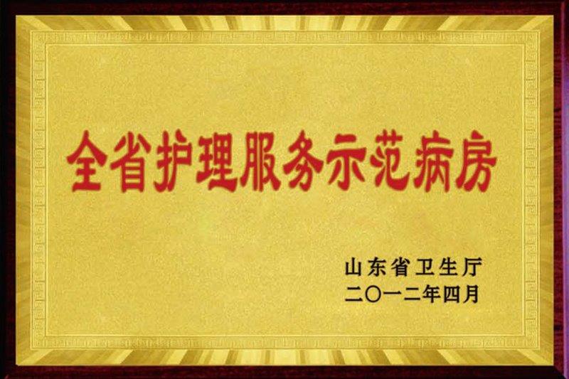 全省护理示范病房.jpg