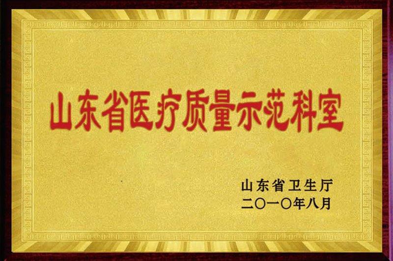 山东省医疗质量示范科室.jpg