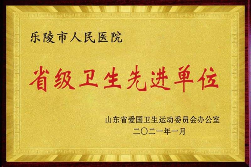 省级卫生先进单位.jpg