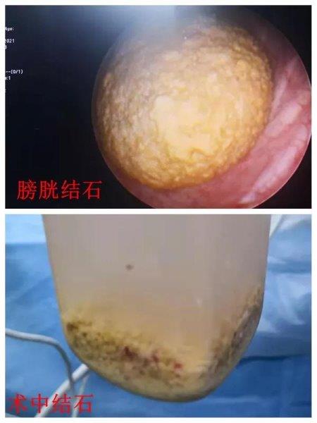 微信图片_20210824092341.jpg