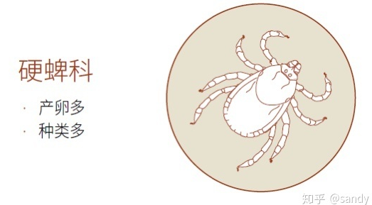 19.png 19.png